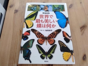美しい蝶の値段と価格推移は 52件の売買情報を集計した美しい蝶の価格や価値の推移データを公開 美しい蝶の値段と価格推移は 52件の売買情報を集計した美しい蝶の価格や価値の推移データを公開