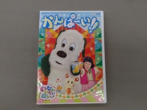 DVD NHK いないいないばあっ! かんぱーい!!