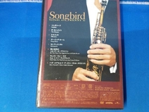 DVD ソングバード~バラード・オブ・ケニー・G DVD kennyG_画像2