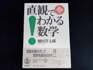 続 直観でわかる数学 畑村洋太郎