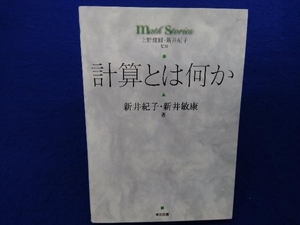 計算とは何か 新井紀子