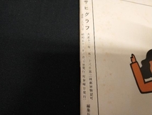 アサヒグラフ 1978 昭和53年 3.3 流氷変幻 北海道オホーツク海沿岸を空から望見 表紙/高田賢三_画像7