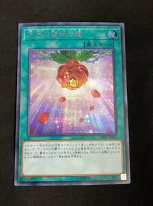 KONAMI コナミ 遊戯王 デュエルモンスターズ 天啓の薔薇の鐘 ローズベル 魔法 シークレットレア シク 19PP-JP015