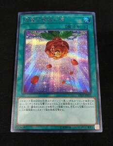 KONAMI コナミ 遊戯王 デュエルモンスターズ 天啓の薔薇の鐘 ローズベル 魔法 シークレットレア シク 19PP-JP015