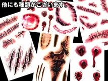 送料無料 傷口 タトゥーシール (40) コスプレ ハロウィン 傷 血 特殊メイク/9_画像4