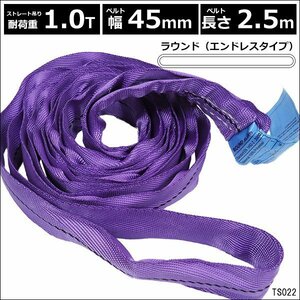 ラウンドスリングベルト [2.5m 耐荷重1000kg] 幅45mm エンドレスタイプ/19