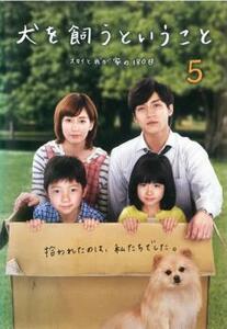 犬を飼うということ スカイと我が家の180日 5(第9話 最終) レンタル落ち 中古 DVD テレビドラマ