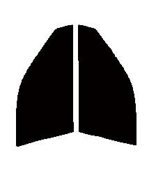 ハーフスモーク　７６％　運転席、助手席　アルテッツァ　SXE10・GXE10　カット済みフィルム