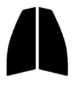 ダークスモーク　１３％　2層構造フィルム　運転席・助手席　トヨタ　オーリス　E181H・E184H・E186H・E185H　カット済みカーフィルム　