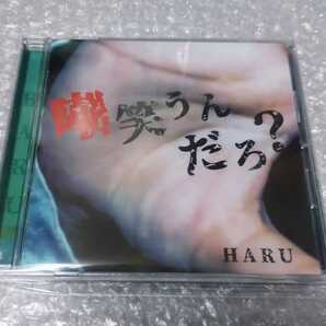 HARU 嘲笑うんだろ? CD