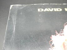 【レア】ディヴィッド・リー・ロス　バンドコア　DAVID LEE ROTH　ディヴ　SKYSCRAPER TOUR　パンフレット_画像6