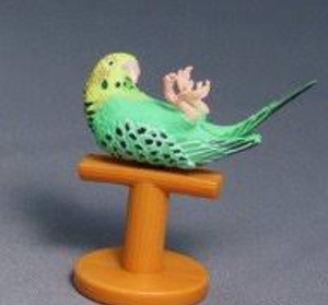 スマホにピーちゃん？ グリーン-仰向け　イヤホンジャック セキセイインコ 鳥 スマホ アイホン アクセサリー 携帯電話