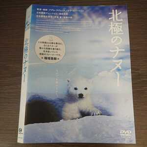 い92　北極のナヌー シロクマ 　レンタル落ち 日本 DVD