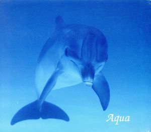 Aqua|( Classic )