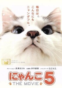 にゃんこ　ＴＨＥ　ＭＯＶＩＥ　５／（趣味／教養）,長澤まさみ（ナレーション）,森英治（音楽）