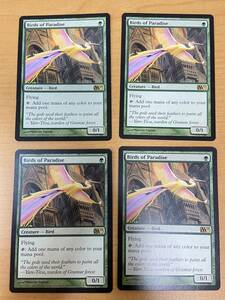 極楽鳥/Birds of Paradise 4枚セット　プレイド　英版　M11