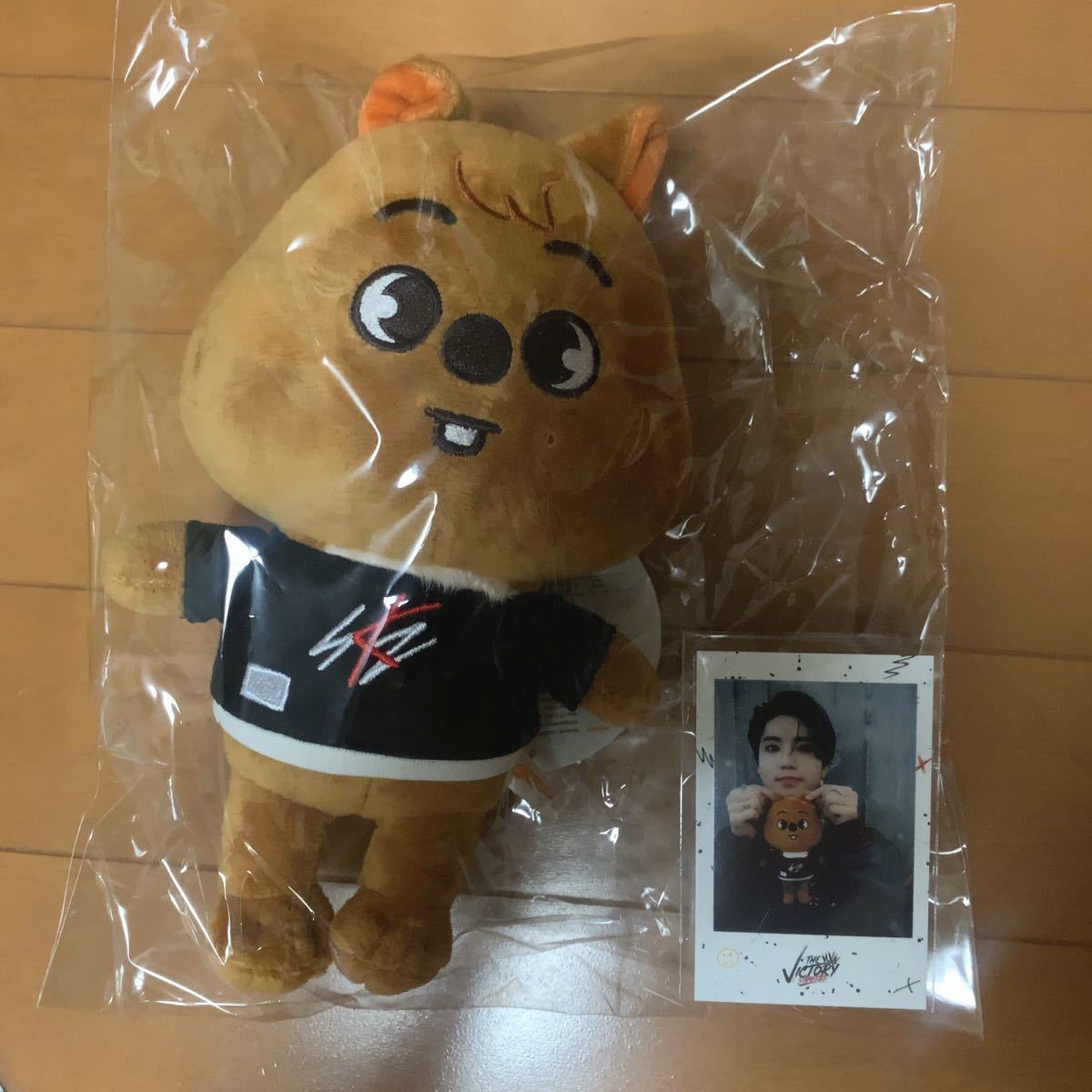 新品未開封 StrayKids SKZOO クッション ハンクオッカ ハンジソン K