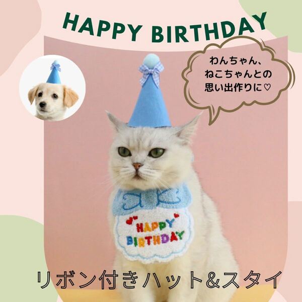 犬 猫 ペット 誕生日 バースデー スタイ 帽子 パーティ 写真 撮影 ブルー