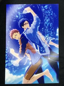 Free! ポストカード 椎名旭&竜ヶ崎怜 豊永利行 平川大輔