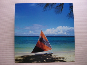 ＊【LP】THE SURF BREAK BAND／サーフ・ブレイク・フロム・ジャマイカ（25AP450）（日本盤）