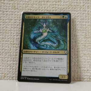 ★☆MTG 【日】水底のドルイド、タトヨヴァ/Tatyova, Benthic Druid[金U]【DOM】 ★☆ 全ての商品同梱可能