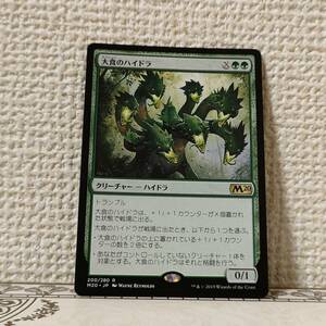 ★☆MTG 【日】大食のハイドラ/Voracious Hydra[緑R]【M20】 ★☆ 全ての商品同梱可能