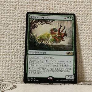 ★☆MTG 【日】変容するケラトプス/Shifting Ceratops[緑R]【M20】 ★☆ 全ての商品同梱可能