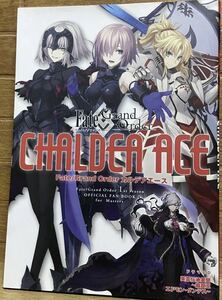 Fate/Grand Order カルデアエース Fate/Grand Order 1st season OFFICIAL FAN BOOK for Masters