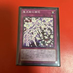 遊戯王 聖天樹の開花