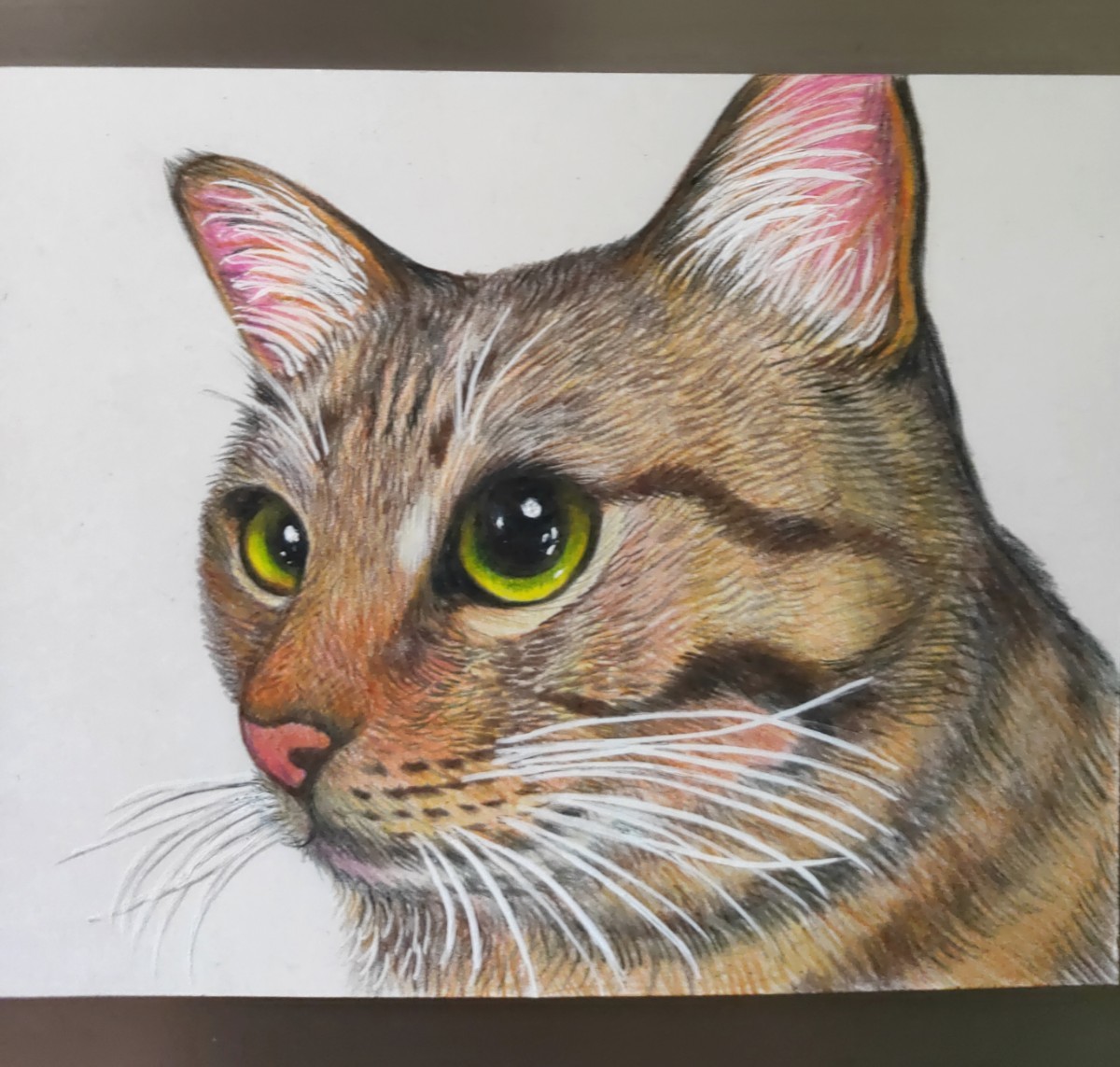 色移り有り 【原画】『猫の町ゴロナーグ』(絵画 パステル画