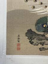 【版画】1円〜 木版画 浮世絵「圓山應舉 孔雀」 紙本 時代物 日本画 _画像4