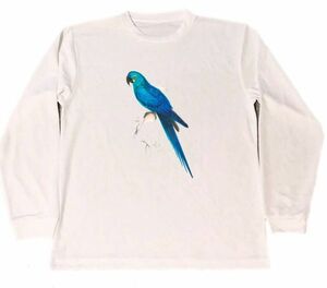 エドワード・リア　ドライ　Tシャツ　オウム　インコ　鸚鵡　鸚哥　グッズ　鳥類　小鳥　青い鳥 　長袖　ロング　ロンＴ