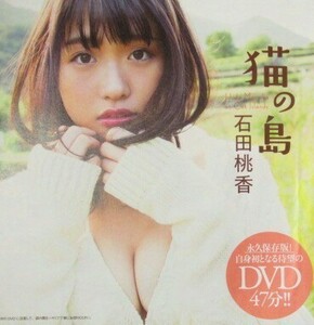 DVD 石田桃香 週刊プレイボーイ付録 猫の島 未開封