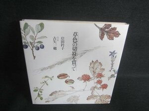 草色の切符を買って　岸田衿子　シミ日焼け有/EBD