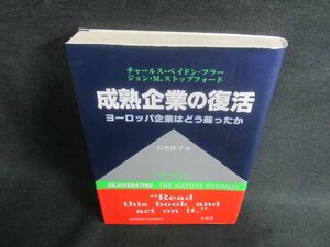 成熟企業の復活　シミ・日焼け有/EBZD