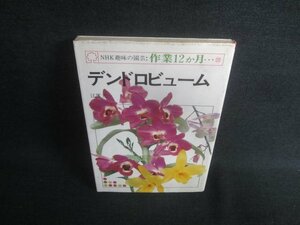 NHK趣味の園芸作業12か月 20 デンドロビューム シミ日焼け有/EBK