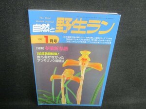 自然と野生ラン　1995.1　春蘭新春譜　日焼け有/EDC