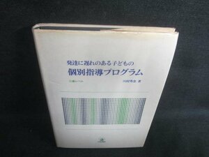 発達に遅れのある子どもの個別指導プログラム　シミ日焼け有/EDF