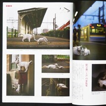 本 雑誌 「猫ぐらし 2014年 春号」 アスペクト 人をハッピーにする猫サプリ/猫の聖地 マルタの旅/九州一の猫町をめぐる 長崎ねこ散歩_画像10