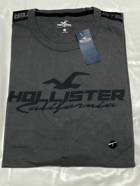 Hollister ホリスター　メンズ　Tシャツ　L ダークグレー　半袖