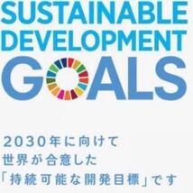 【国連本部正規品】SDGs ピンバッジ　1点　新品未使用　【特別奉仕品】_画像10