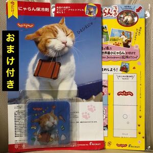 ヤフオク にゃらんの中古品 新品 未使用品一覧 ヤフオク にゃらんの中古品 新品 未使用品一覧