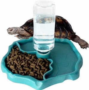  reptiles lizard k mocha me feeding plate water only easy free shipping 