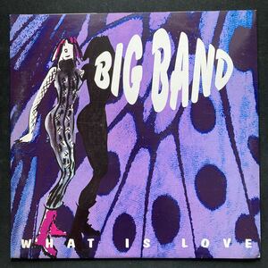 12inch BIG BAND / WHAT IS LOVE