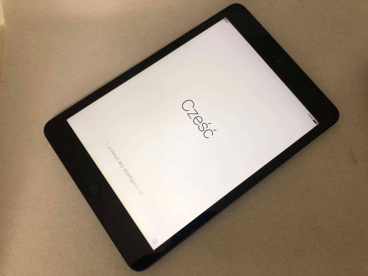 iPad mini MD523J/A A1432 32GB 2012 未開封品 BeSUGfPkba
