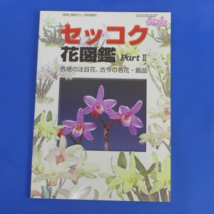 yuS5642* Dendrobium moniliforme flower illustrated reference book part2 nature .. raw Ran increase . new plan publish department 