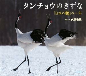 タンチョウのきずな 「日本の鶴」の一年 小学館の図鑑ＮＥＯの科学絵本／久保敬親(著者)