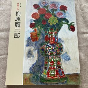 （希少本）梅原龍三郎図録◯佐野美術館◯日本近代美術◯洋画　