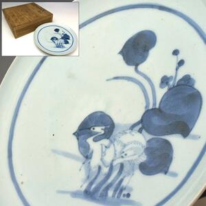 【趣楽】 江戸時代初期　初期伊万里　蓮に鷺図飾り皿　直径２１ｃｍ　本物保証　Ｇ１７７１