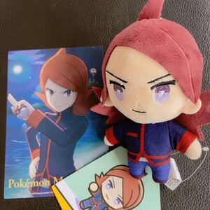 ヤフオク ポケモンカード Ex ぬいぐるみ の落札相場 落札価格 ヤフオク ポケモンカード Ex ぬいぐるみ の落札相場 落札価格